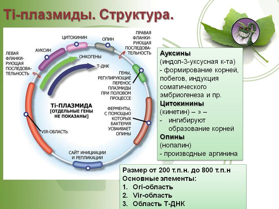 Кракен оригинальная ссылка для тор