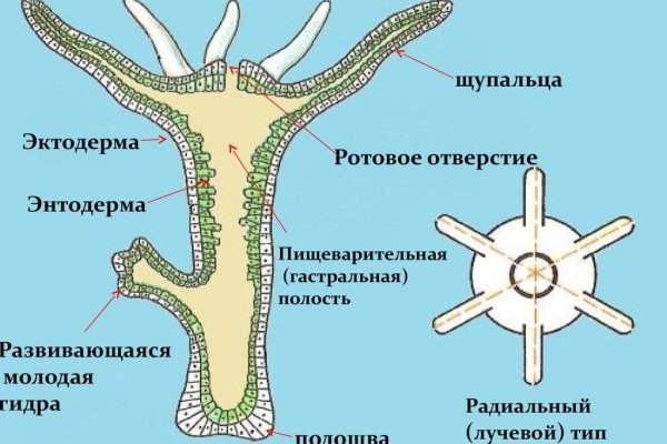 Нарко магазин кракен