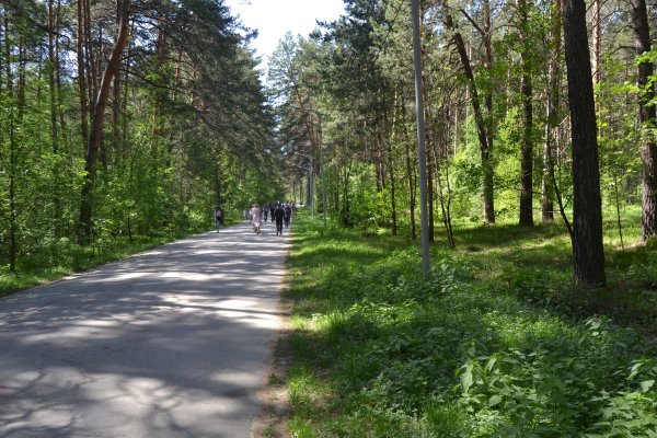 Проверенная ссылка кракен